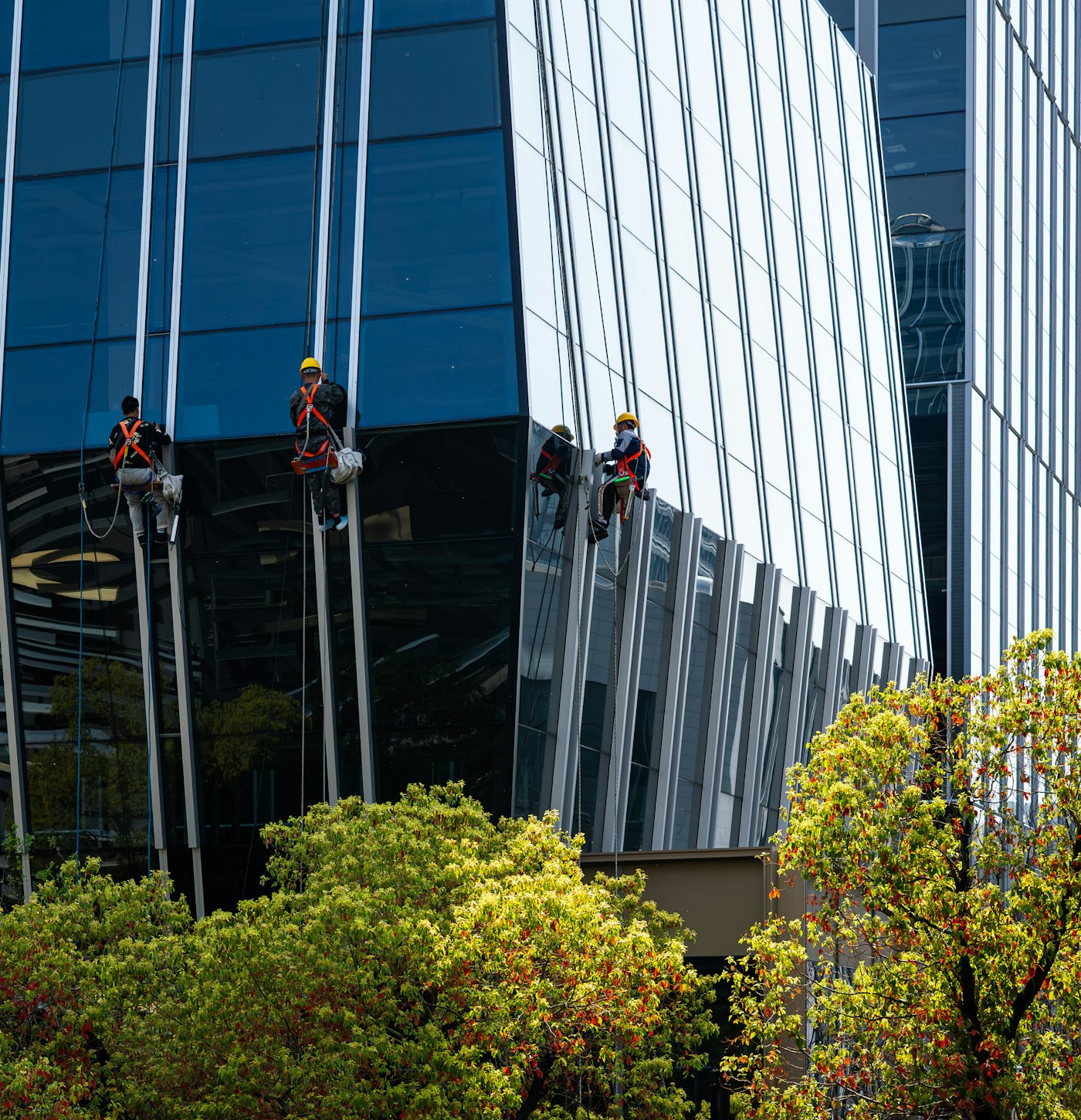Interior & Exterior Window Cleaning